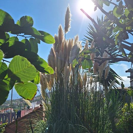 Casa-Albatros Villa Ponta do Sol  Dış mekan fotoğraf