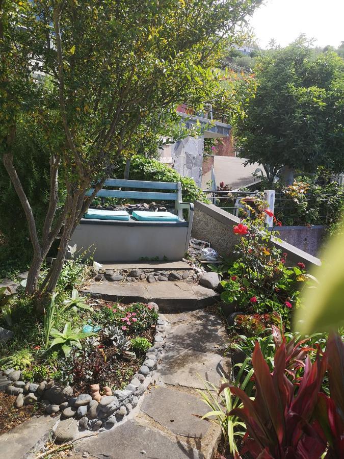 Casa-Albatros Villa Ponta do Sol  Dış mekan fotoğraf