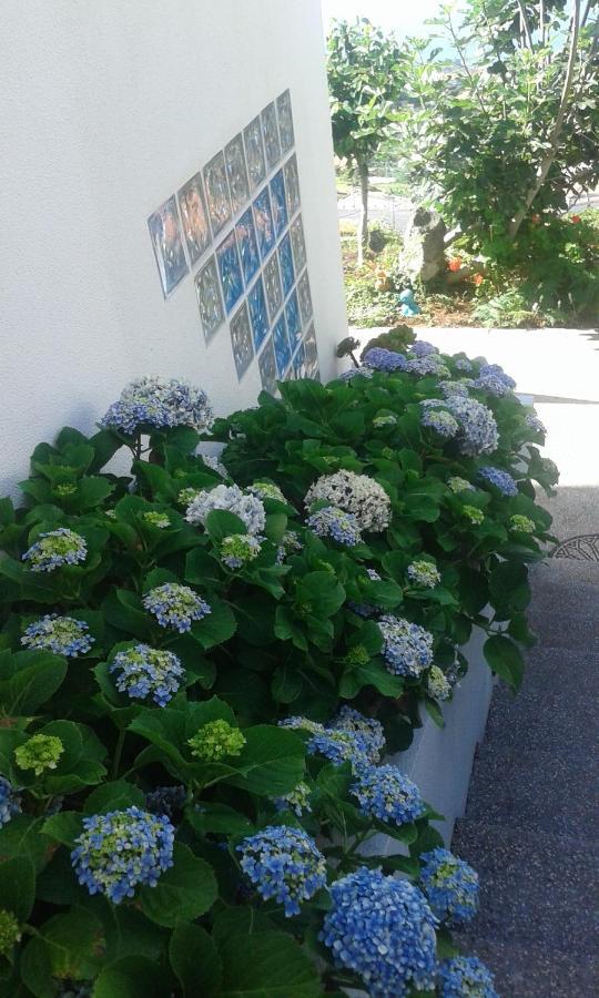 Casa-Albatros Villa Ponta do Sol  Dış mekan fotoğraf