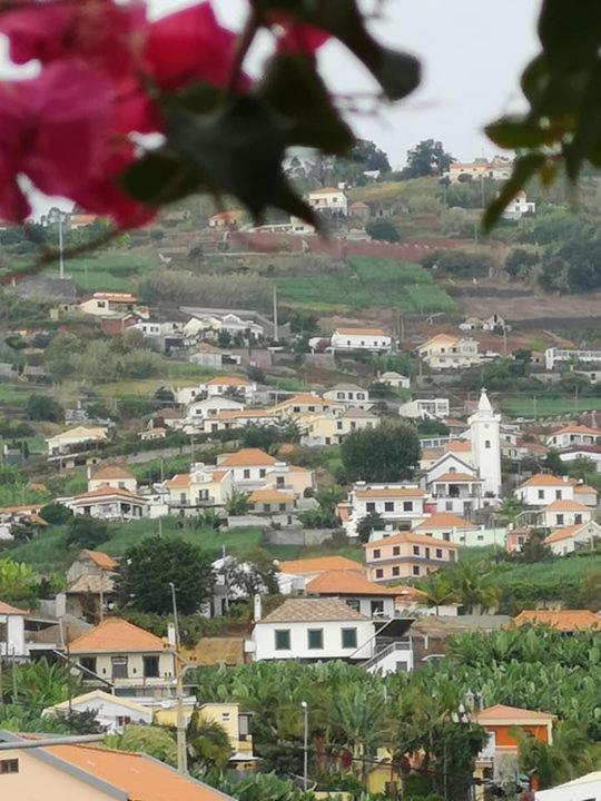 Casa-Albatros Villa Ponta do Sol  Dış mekan fotoğraf