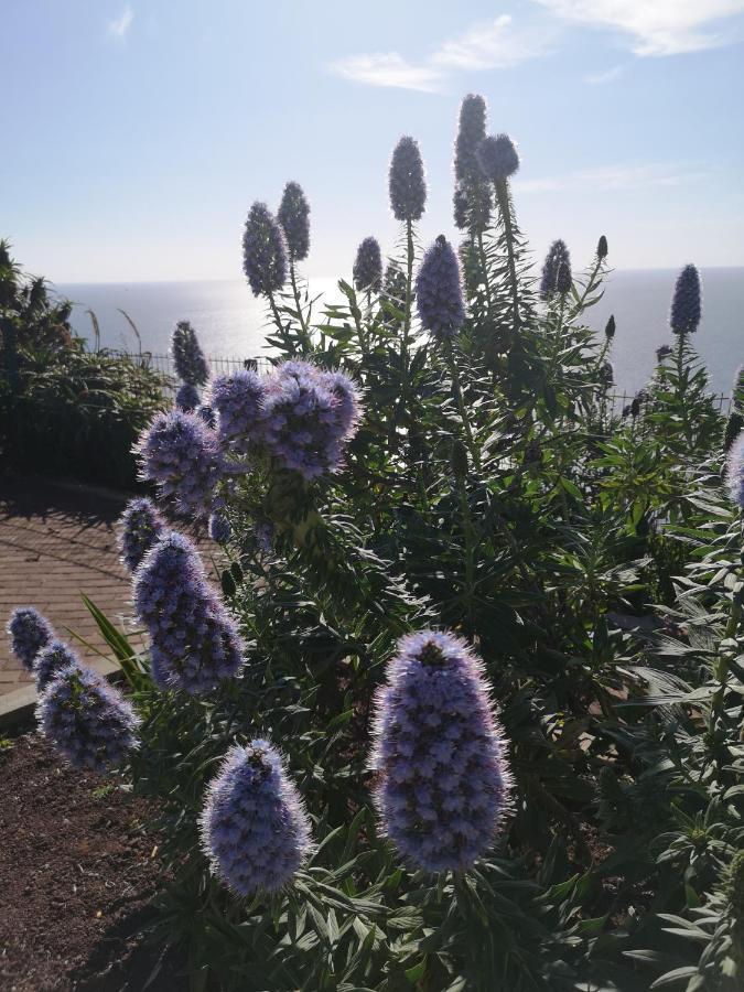 Casa-Albatros Villa Ponta do Sol  Dış mekan fotoğraf